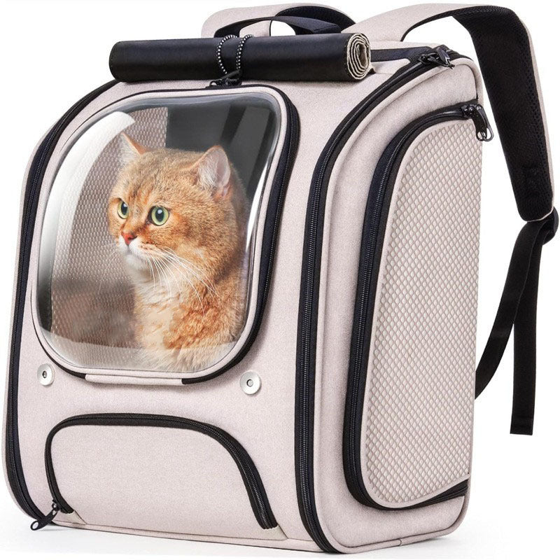 Cat relaxing inside a breathable carrier backpack for safe and comfortable travel in Canada and USA