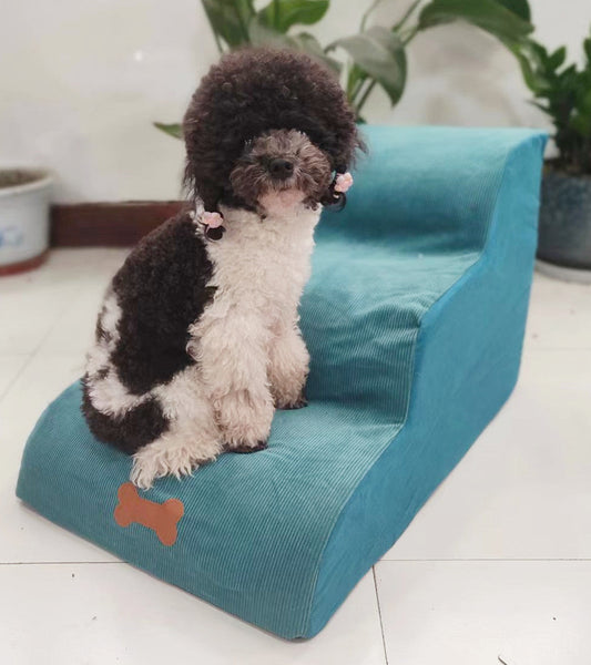 Dog Stairs for Small Dogs and Cats – A Safe Solution for Daily Home Comfort