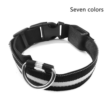 LED Dog & Cat Collar for Night Walks | Rechargeable Pet Collar