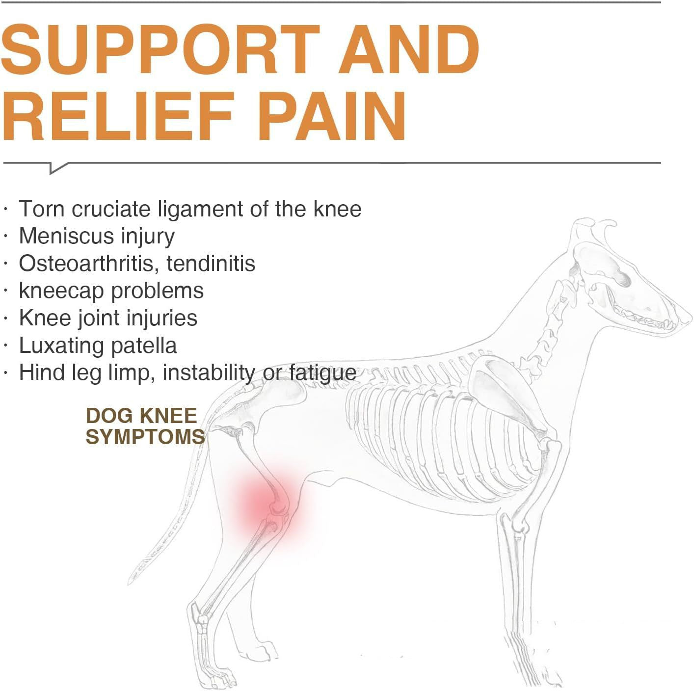 Dog ACL Knee Brace for Hip Dysplasia & Joint Pain Support
