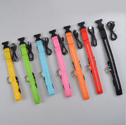 LED Dog & Cat Collar for Night Walks | Rechargeable Pet Collar