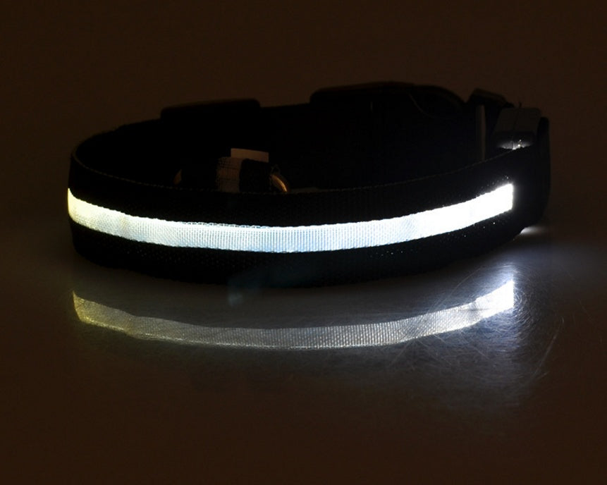 LED Dog & Cat Collar for Night Walks | Rechargeable Pet Collar