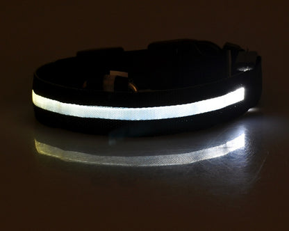 LED Dog & Cat Collar for Night Walks | Rechargeable Pet Collar