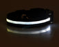 LED Dog & Cat Collar for Night Walks | Rechargeable Pet Collar