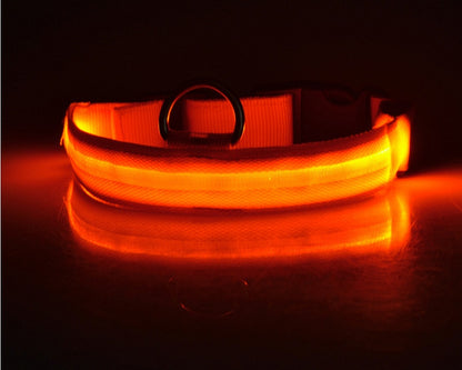 LED Dog & Cat Collar for Night Walks | Rechargeable Pet Collar