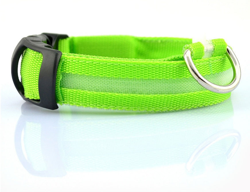 LED Dog & Cat Collar for Night Walks | Rechargeable Pet Collar