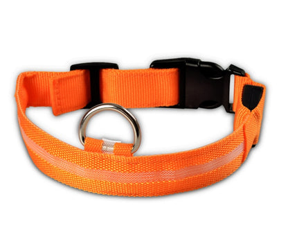 LED Dog & Cat Collar for Night Walks | Rechargeable Pet Collar