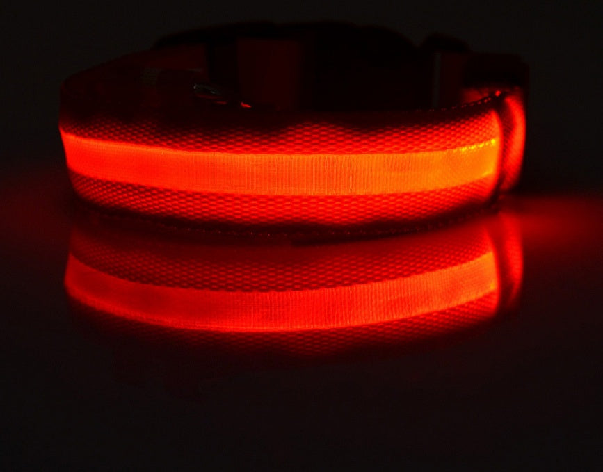 LED Dog & Cat Collar for Night Walks | Rechargeable Pet Collar