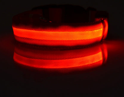 LED Dog & Cat Collar for Night Walks | Rechargeable Pet Collar