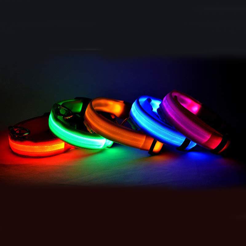 LED Dog & Cat Collar for Night Walks | Rechargeable Pet Collar