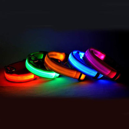 LED Dog & Cat Collar for Night Walks | Rechargeable Pet Collar