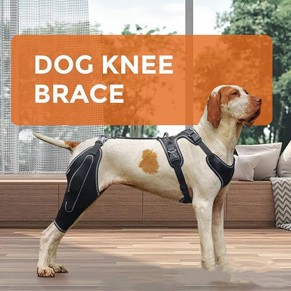 Dog ACL Knee Brace for Hip Dysplasia & Joint Pain Support