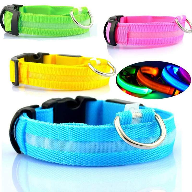 LED Dog & Cat Collar for Night Walks | Rechargeable Pet Collar