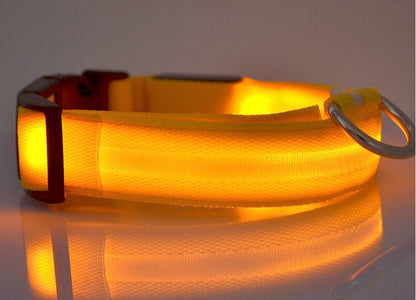LED Dog & Cat Collar for Night Walks | Rechargeable Pet Collar