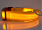 LED Dog & Cat Collar for Night Walks | Rechargeable Pet Collar