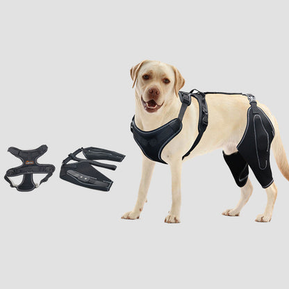 Dog ACL Knee Brace for Hip Dysplasia & Joint Pain Support