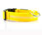 LED Dog & Cat Collar for Night Walks | Rechargeable Pet Collar