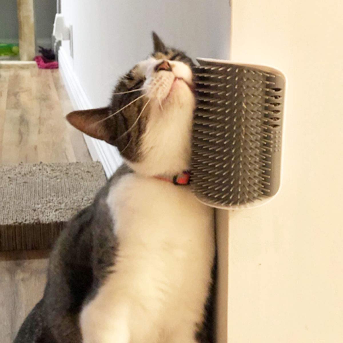 Cat Self Grooming Arch Brush – Wall Mounted Pet Groomer for Shedding Control