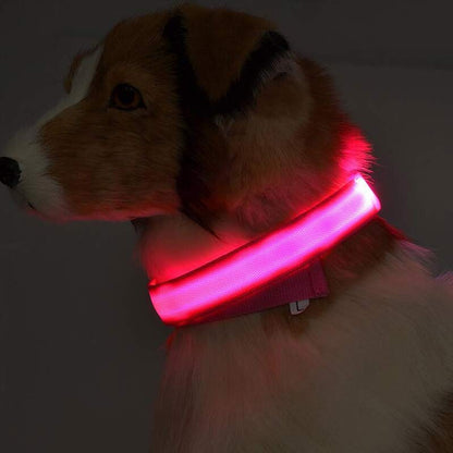 LED Dog & Cat Collar for Night Walks | Rechargeable Pet Collar