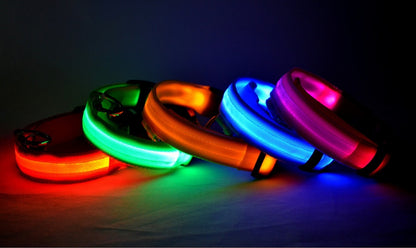 LED Dog & Cat Collar for Night Walks | Rechargeable Pet Collar