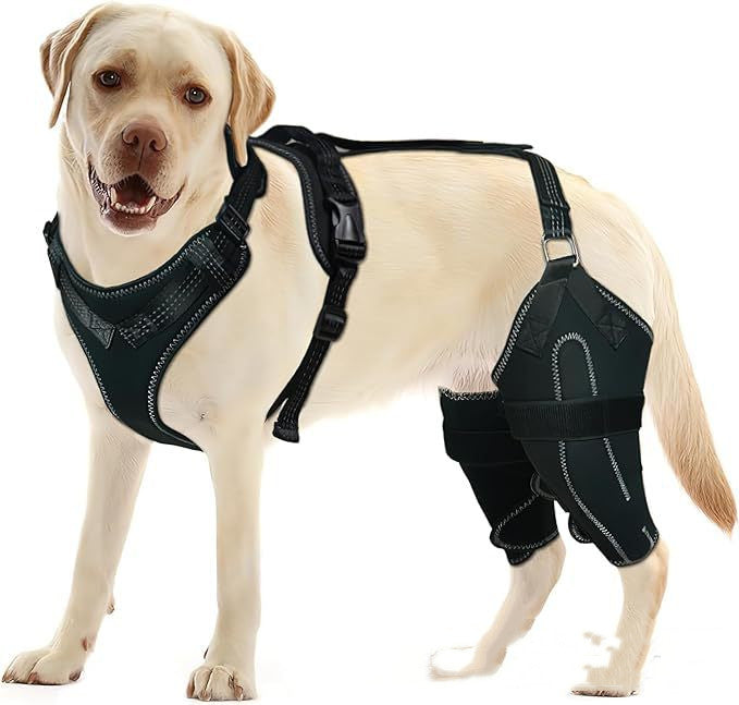 Dog ACL Knee Brace for Hip Dysplasia & Joint Pain Support