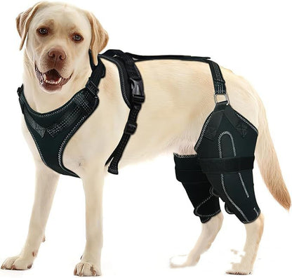 Dog ACL Knee Brace for Hip Dysplasia & Joint Pain Support