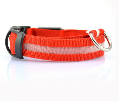 LED Dog & Cat Collar for Night Walks | Rechargeable Pet Collar