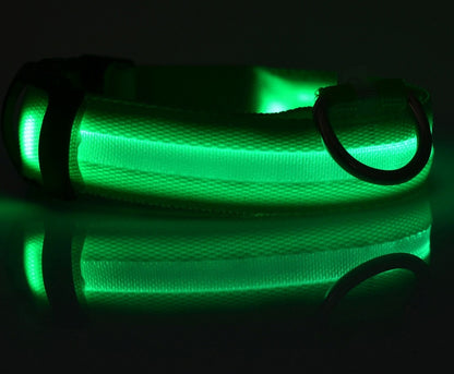 LED Dog & Cat Collar for Night Walks | Rechargeable Pet Collar