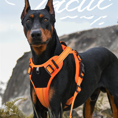 No-Pull Adjustable Dog Harness for Small to Large Dogs – Walking & Training Harness