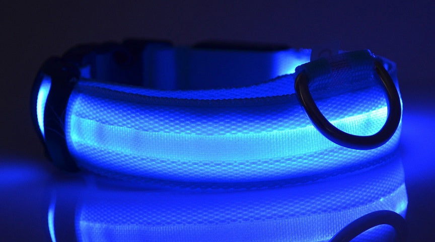 LED Dog & Cat Collar for Night Walks | Rechargeable Pet Collar
