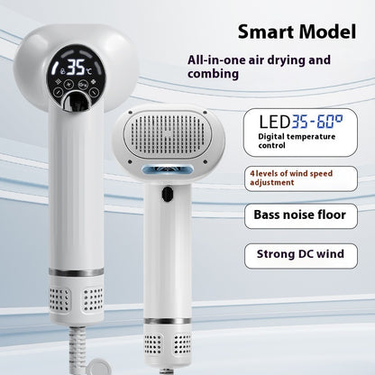 Dog & Cat Grooming Blow Dryer Brush – 2 in 1 Pet Hair Dryer & Comb with LED Display