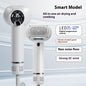 Dog & Cat Grooming Blow Dryer Brush – 2 in 1 Pet Hair Dryer & Comb with LED Display