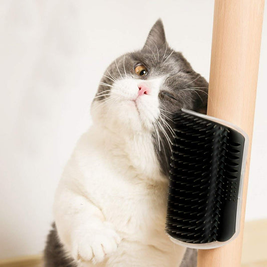 Cat self grooming arch brush for shedding control wall mounted pet groomer for indoor cats