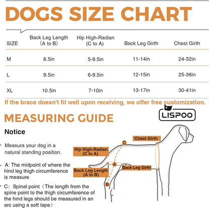 Dog ACL Knee Brace for Hip Dysplasia & Joint Pain Support