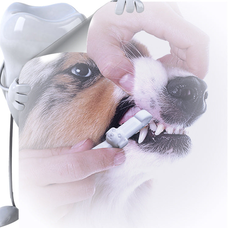 Dog being cleaned with a pet dental care tool to support oral hygiene and remove plaque at home.