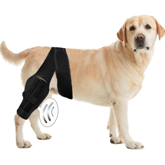 Dog leg rehabilitation support belt in black