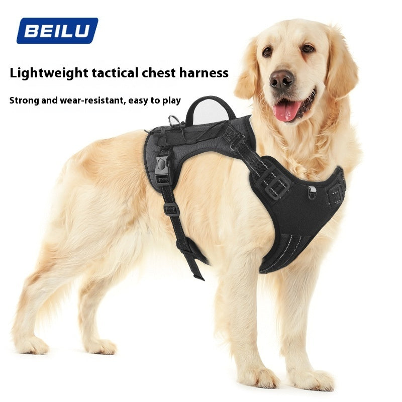 No-Pull Adjustable Dog Harness for Small to Large Dogs – Walking & Training Harness
