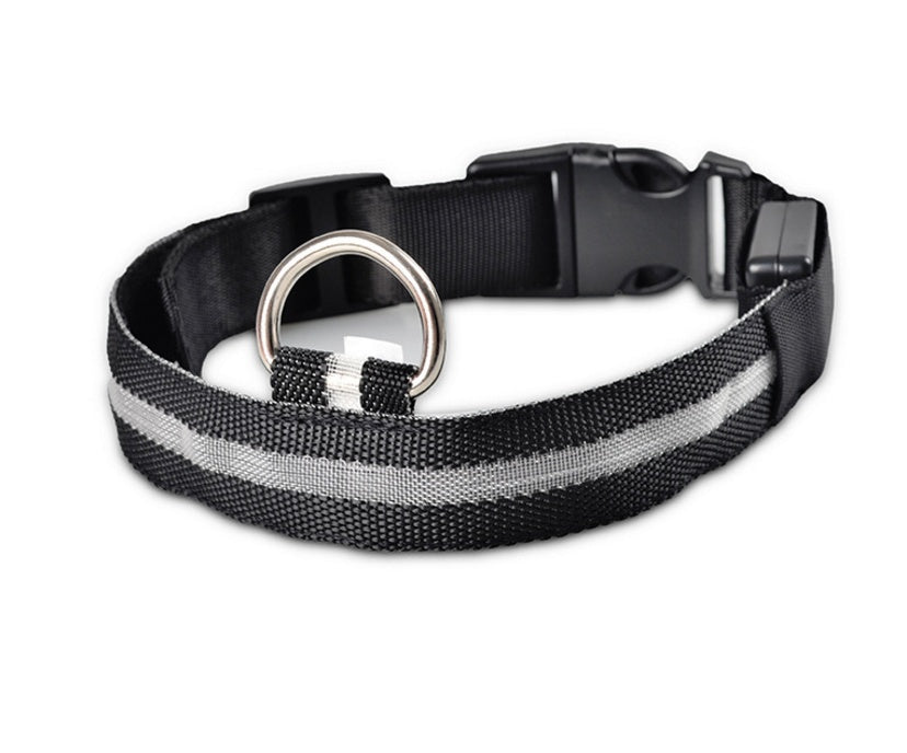 Black LED dog collar for night walking and pet safety
