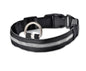 Black LED dog collar for night walking and pet safety