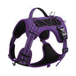 Purple no-pull adjustable dog harness for walking and training