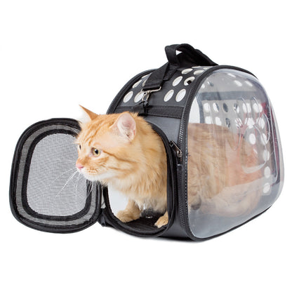 Cat in a transparent pet carrier with black straps on a white background