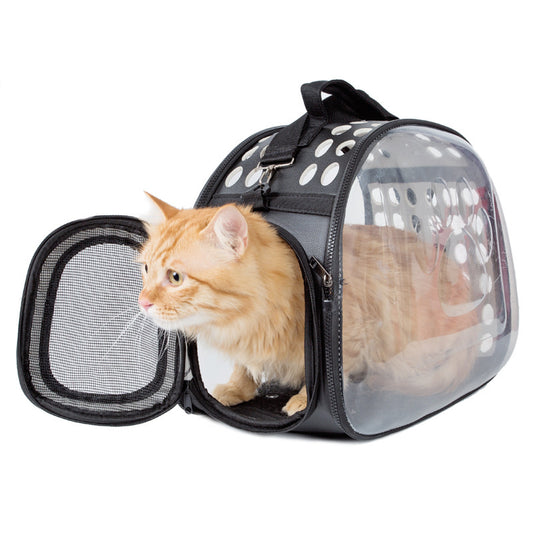 Cat in a transparent pet carrier with black straps on a white background